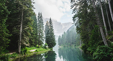 Vegetation & Ecology — laser distance sensor application